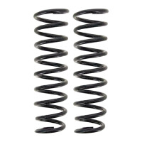 Suspension Spring set rear axle coil spring Ø 101...