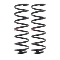 Suspension Spring set rear axle coil spring Ø 113...
