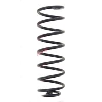 Suspension Spring set rear axle coil spring Ø 113...