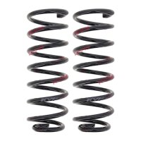 Suspension Spring set rear axle coil spring Ø 123...