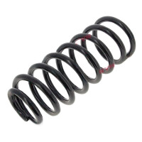 Suspension Spring set rear axle coil spring Ø 126 mm KYB for AUDI A6