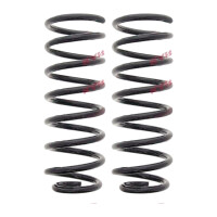 Suspension Spring set rear axle coil spring Ø 120...