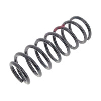 Suspension Spring set rear axle coil spring Ø 120 mm KYB for e.g. AUDI A6