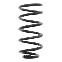 Fahrwerksfedern-Set Hinterachse Schraubenfeder Ø...