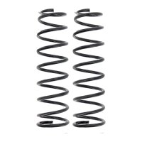 Suspension Spring set rear axle coil spring Ø 99...