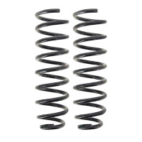 Suspension Spring set rear axle coil spring Ø 118...