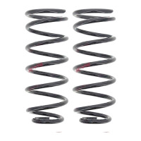 Suspension Spring set rear axle coil spring Ø 103...