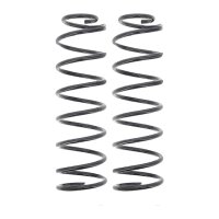 Suspension Spring set rear axle coil spring Ø 102...