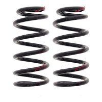 Suspension Spring set rear axle coil spring Ø 119...