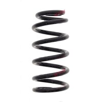 Suspension Spring set rear axle coil spring Ø 119...