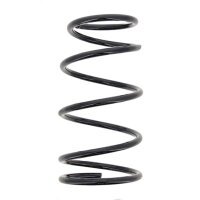 Suspension Spring set rear axle coil spring Ø 153...
