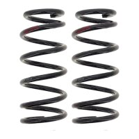 Suspension Spring set rear axle coil spring Ø 107...