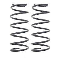 Suspension Spring set rear axle coil spring Ø 146...