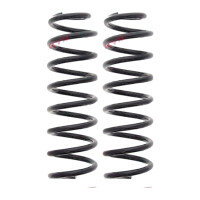 Suspension Spring set rear axle coil spring Ø 103...
