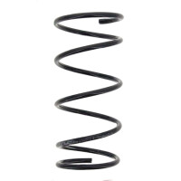 Fahrwerksfedern-Set Hinterachse Schraubenfeder Ø...