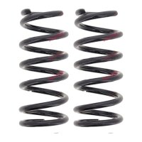 Suspension Spring set rear axle coil spring Ø 110...