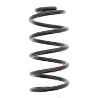 Fahrwerksfedern-Set Hinterachse Schraubenfeder Ø...