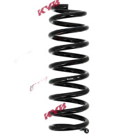 Suspension Spring set rear axle coil spring Ø 101...