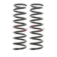 Suspension Spring set rear axle coil spring Ø 100...