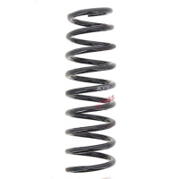 Suspension Spring set rear axle coil spring Ø 99...