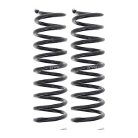Suspension Spring set rear axle coil spring Ø 101...