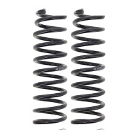 Suspension Spring set rear axle coil spring Ø 99...