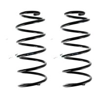 Suspension Spring set rear axle coil spring Ø 111...