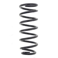 Suspension Spring set rear axle coil spring Ø 117...