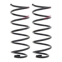 Suspension Spring set rear axle coil spring Ø 119...