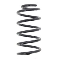 Suspension Spring set rear axle coil spring Ø 120...