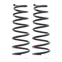 Fahrwerksfedern-Set Hinterachse Schraubenfeder Ø...