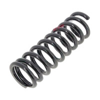 Suspension Spring set rear axle coil spring Ø 100 mm KYB for MB C-KLASSE