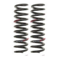 Suspension Spring set rear axle coil spring Ø 103...