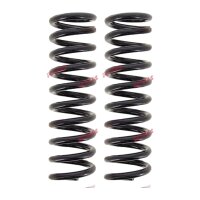 Suspension Spring set rear axle coil spring Ø 99...