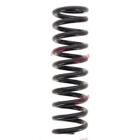 Suspension Spring set rear axle coil spring Ø 99...