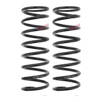 Suspension Spring set rear axle coil spring Ø 119...