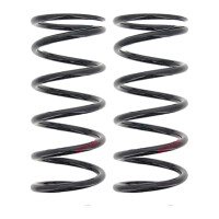Suspension Spring set rear axle coil spring Ø 145...