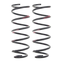 Fahrwerksfedern-Set Hinterachse Schraubenfeder Ø...