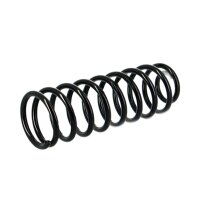 Suspension Spring set rear axle coil spring Ø 122...