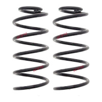 Suspension Spring set rear axle coil spring Ø 119...