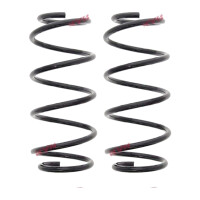 Suspension Spring set front axle coil spring Ø 142...