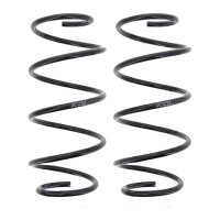 Fahrwerksfedern-Set Vorderachse Schraubenfeder Ø...