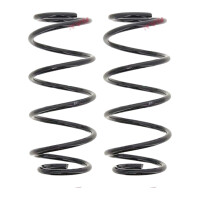 Suspension Spring set front axle coil spring Ø 141...