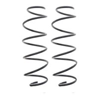 Suspension Spring set front axle coil spring Ø 143...