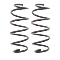 Suspension Spring set front axle coil spring Ø 142...