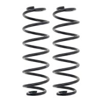 Suspension Spring set rear axle coil spring Ø 125...