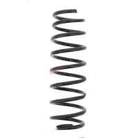Suspension Spring set rear axle coil spring Ø 117...