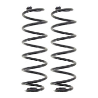 Suspension Spring set rear axle coil spring Ø 110...