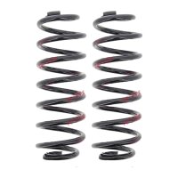 Suspension Spring set rear axle coil spring Ø 117...