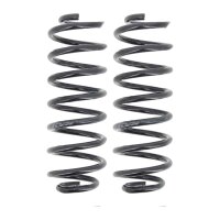 Suspension Spring set rear axle coil spring Ø 117...